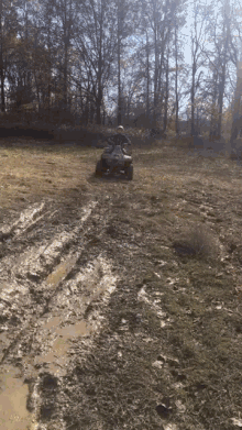 Detail Atv Mudding Meme Nomer 43