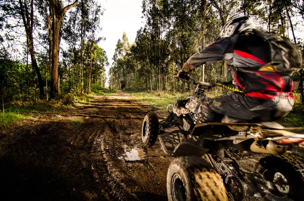 Detail Atv Pichers Nomer 4