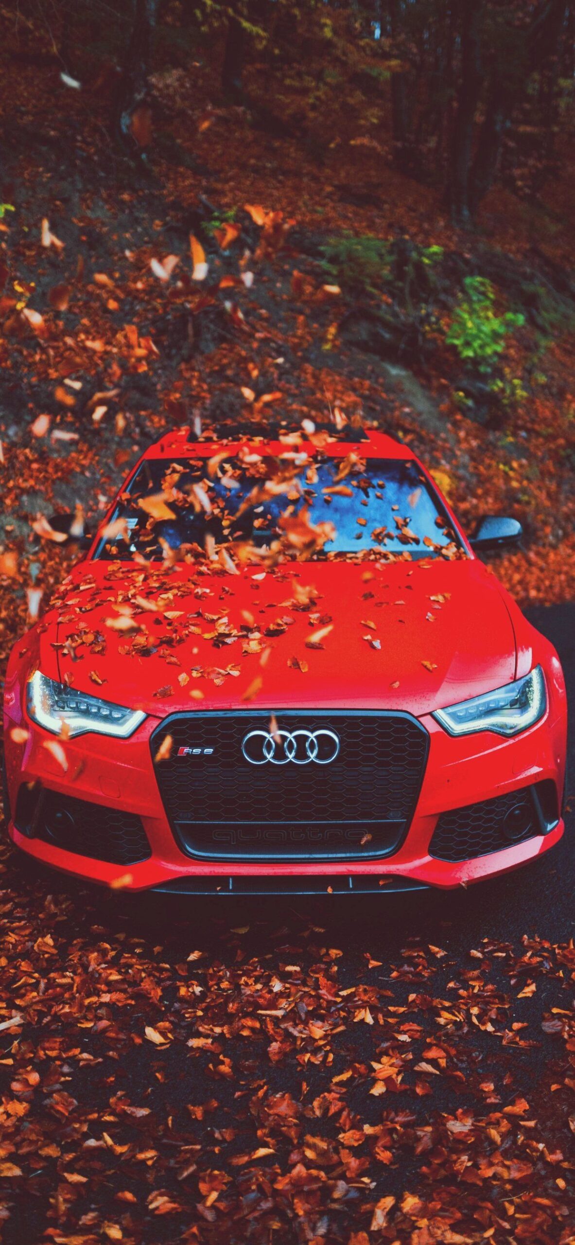 Detail Audi Wallpaper Nomer 15