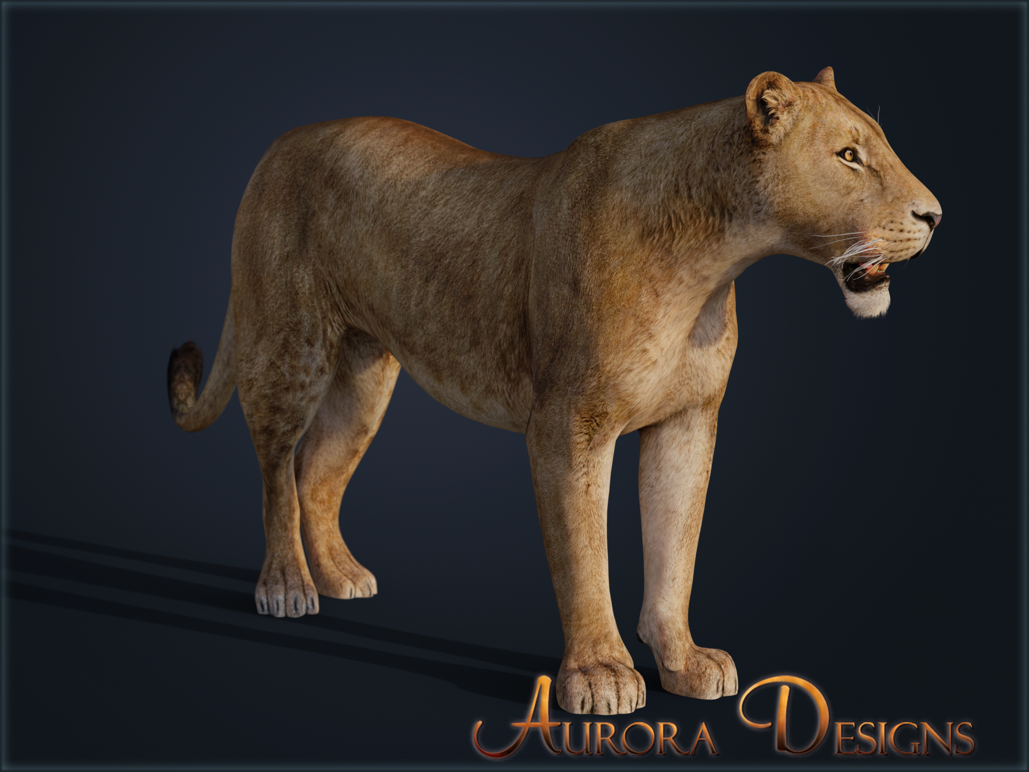 Aurora Designs - KibrisPDR