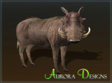 Detail Aurora Designs Nomer 23