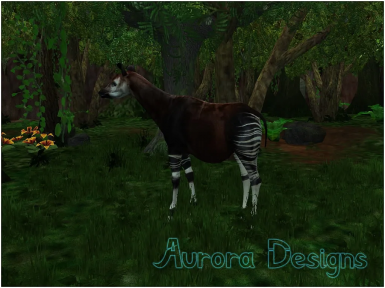 Detail Aurora Designs Nomer 29