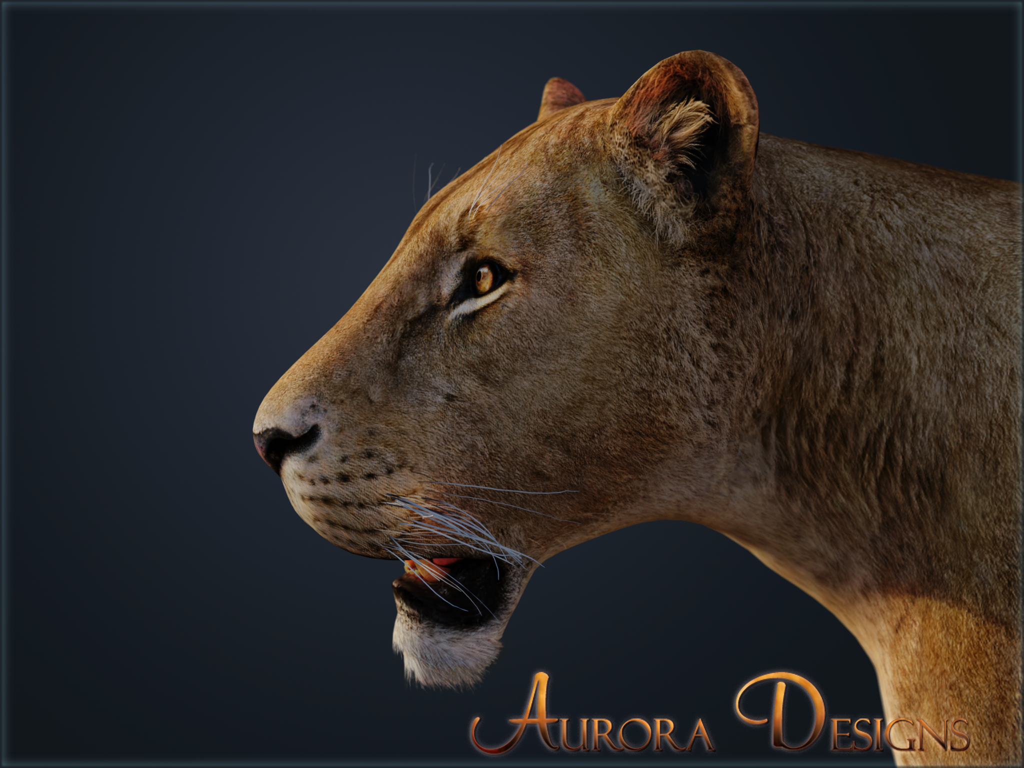 Detail Aurora Designs Nomer 5