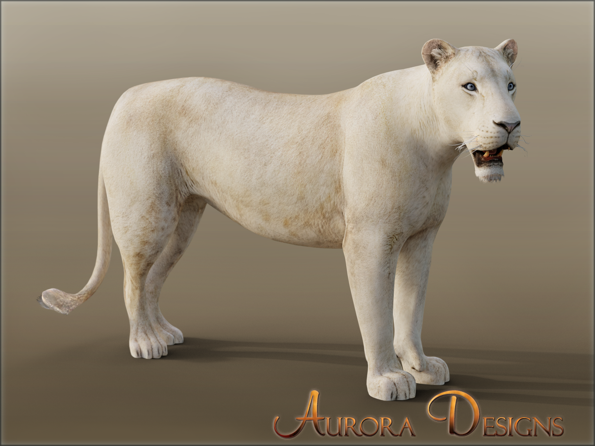 Detail Aurora Designs Nomer 9