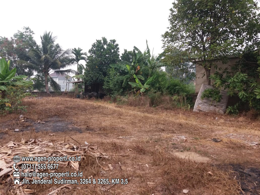 Detail Auto 2000 Tanjung Api Api Nomer 37