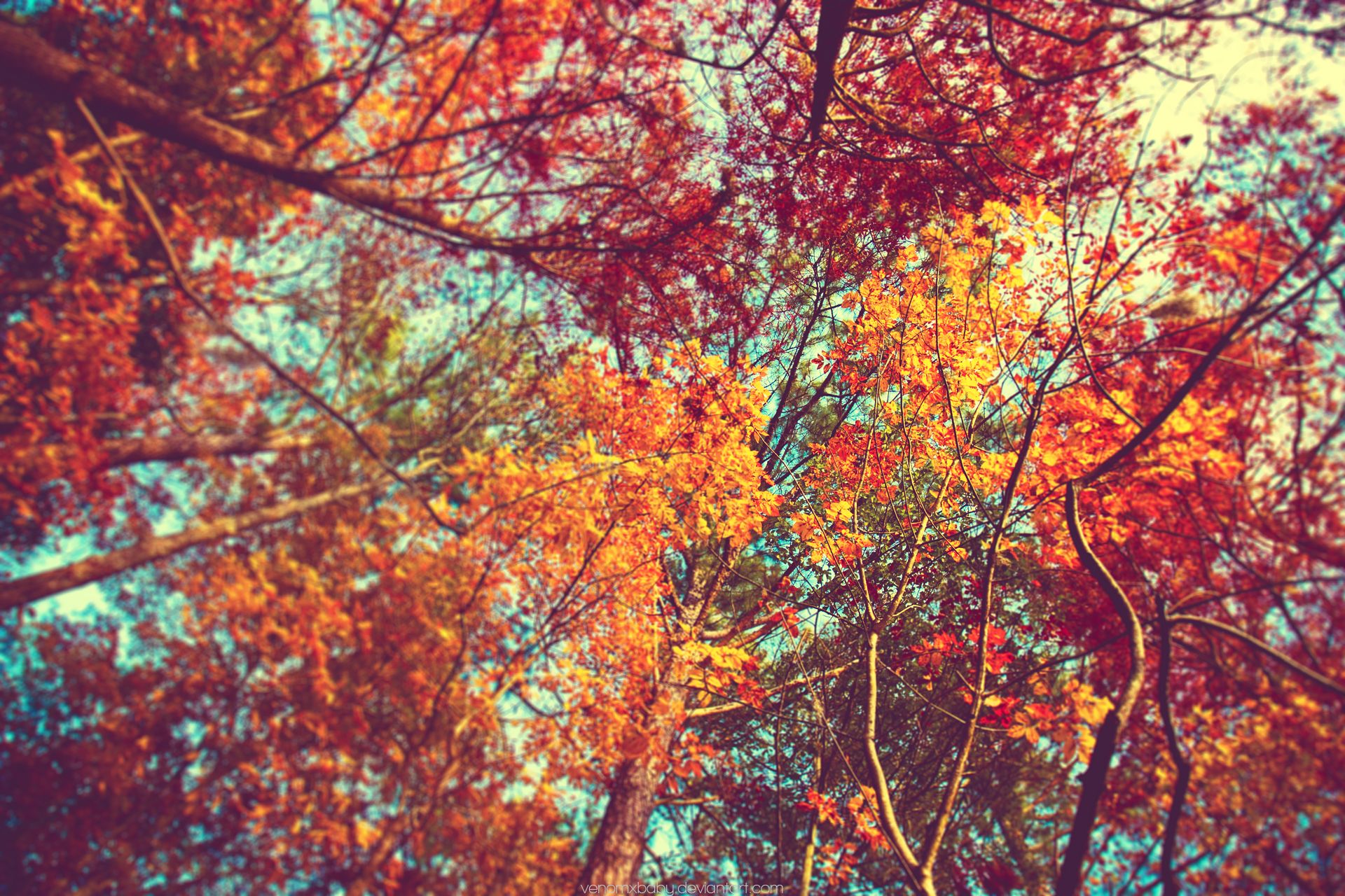 Detail Autumn Background Tumblr Nomer 2