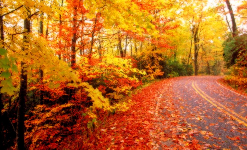 Detail Autumn Images Free Download Nomer 13