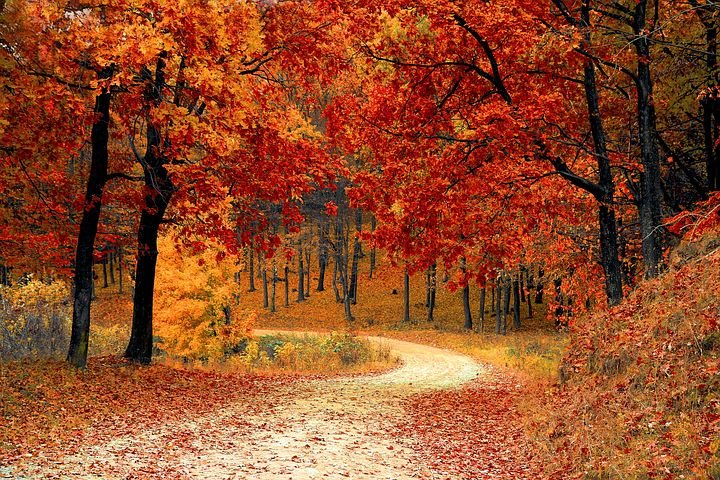 Detail Autumn Images Free Download Nomer 16