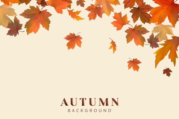 Detail Autumn Images Free Download Nomer 34