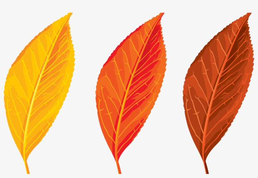 Detail Autumn Images Free Download Nomer 41