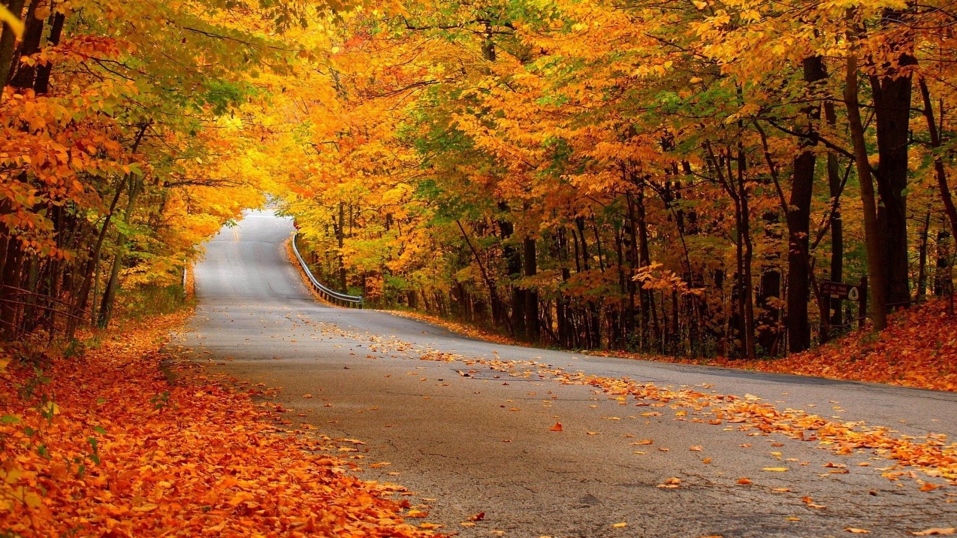 Detail Autumn Images Free Download Nomer 52