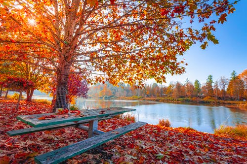 Detail Autumn Images Free Download Nomer 8