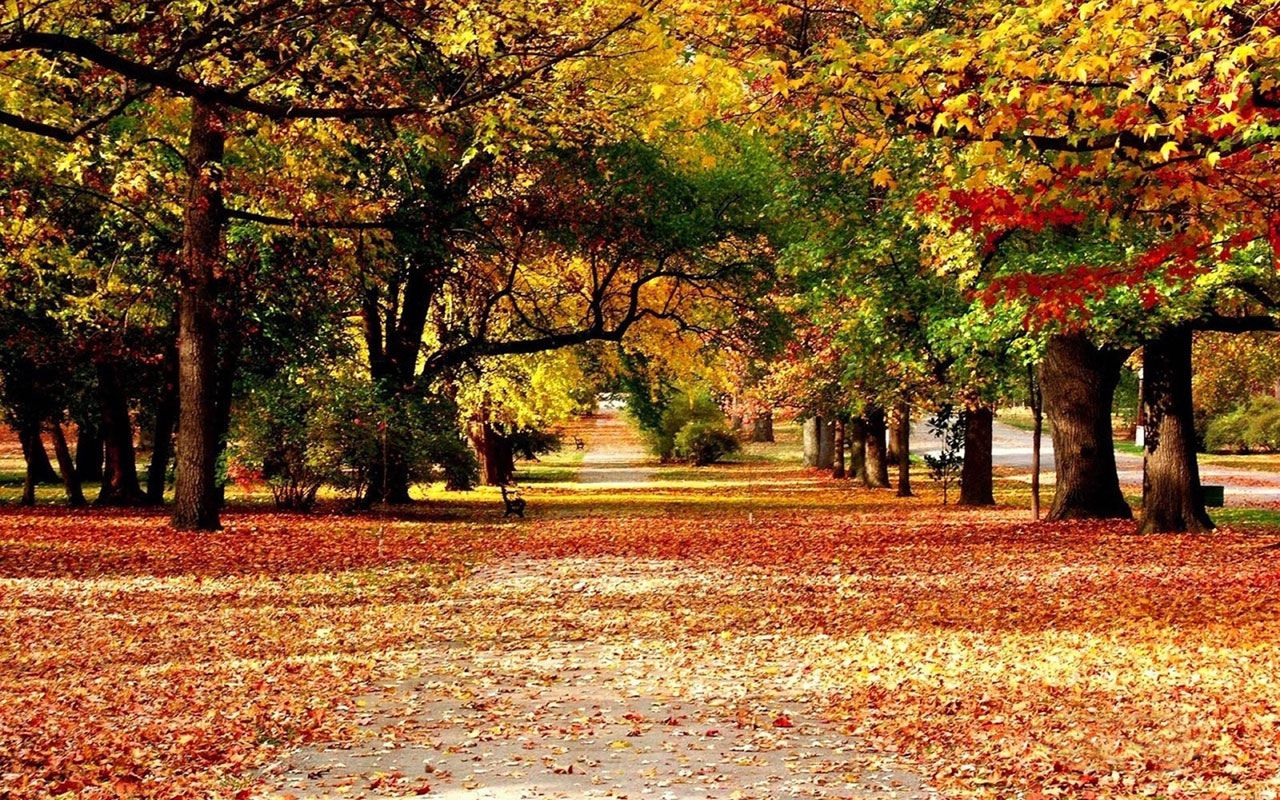 Detail Autumn Images Free Download Nomer 9