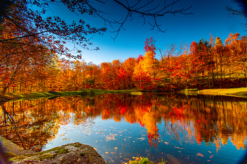 Detail Autumn Images Free Download Nomer 10