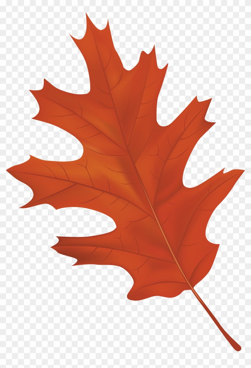 Detail Autumn Leaf Clip Art Nomer 19