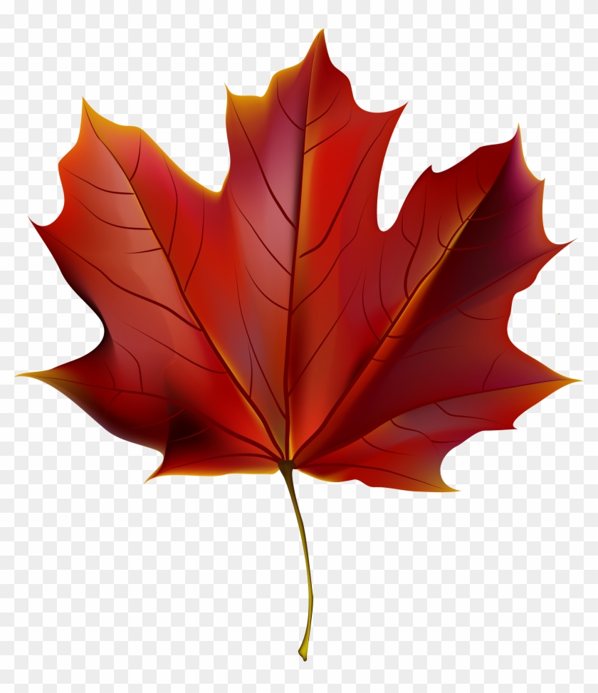 Detail Autumn Leaf Clip Art Nomer 51