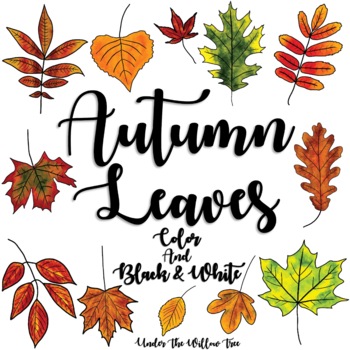 Detail Autumn Leaf Clipart Black And White Nomer 23
