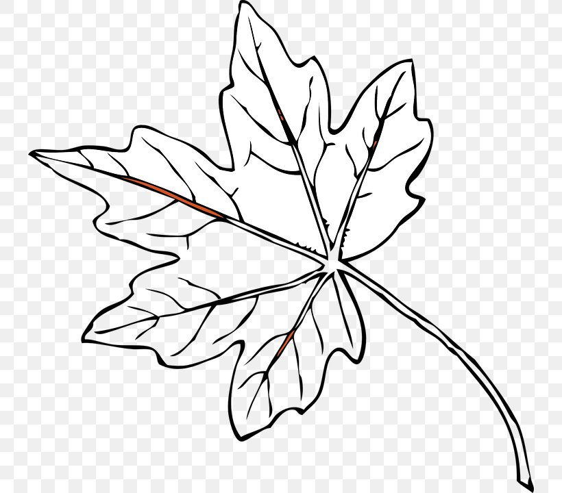 Detail Autumn Leaf Clipart Black And White Nomer 36