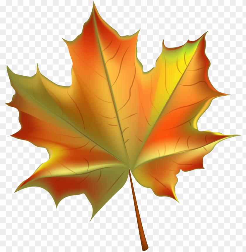 Detail Autumn Leaf Clipart Free Nomer 11
