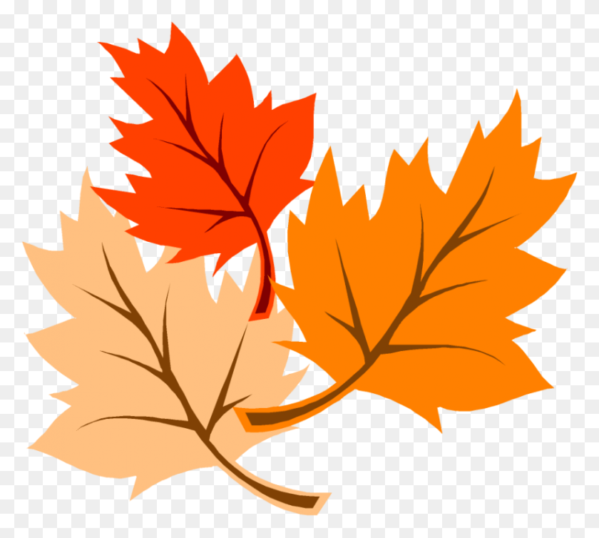 Detail Autumn Leaf Clipart Free Nomer 14