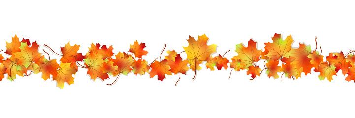 Detail Autumn Leaf Clipart Free Nomer 50