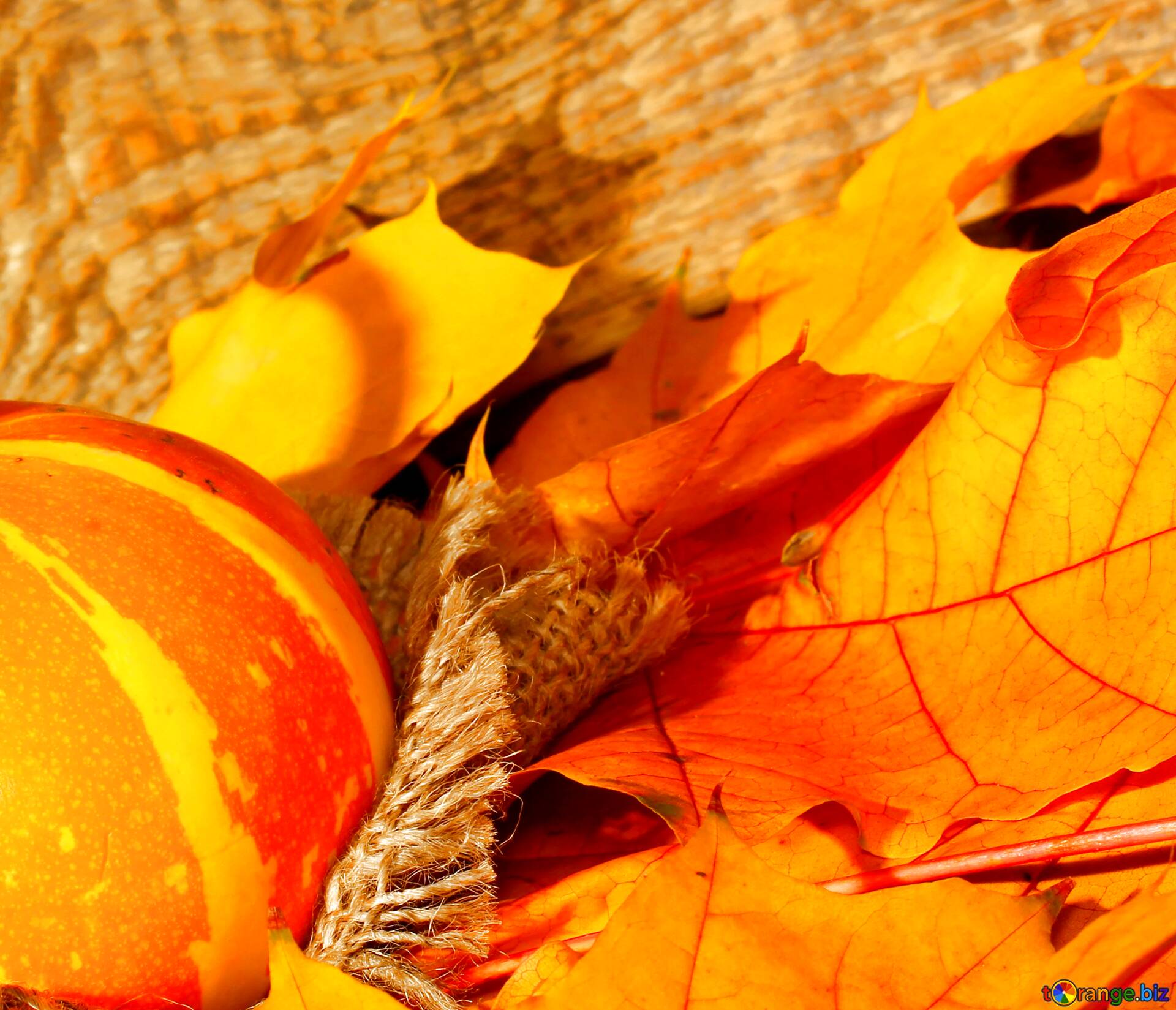 Detail Autumn Leaves And Pumpkins Wallpaper Nomer 42