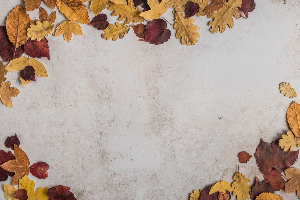 Detail Autumn Leaves Background Nomer 11