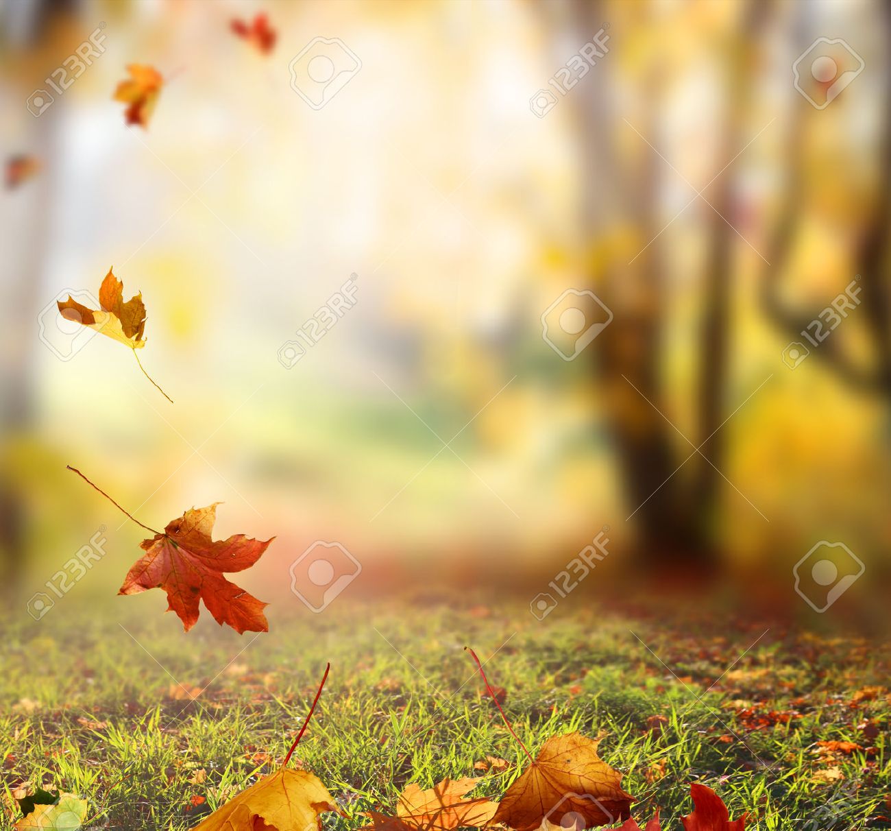 Detail Autumn Leaves Background Nomer 26