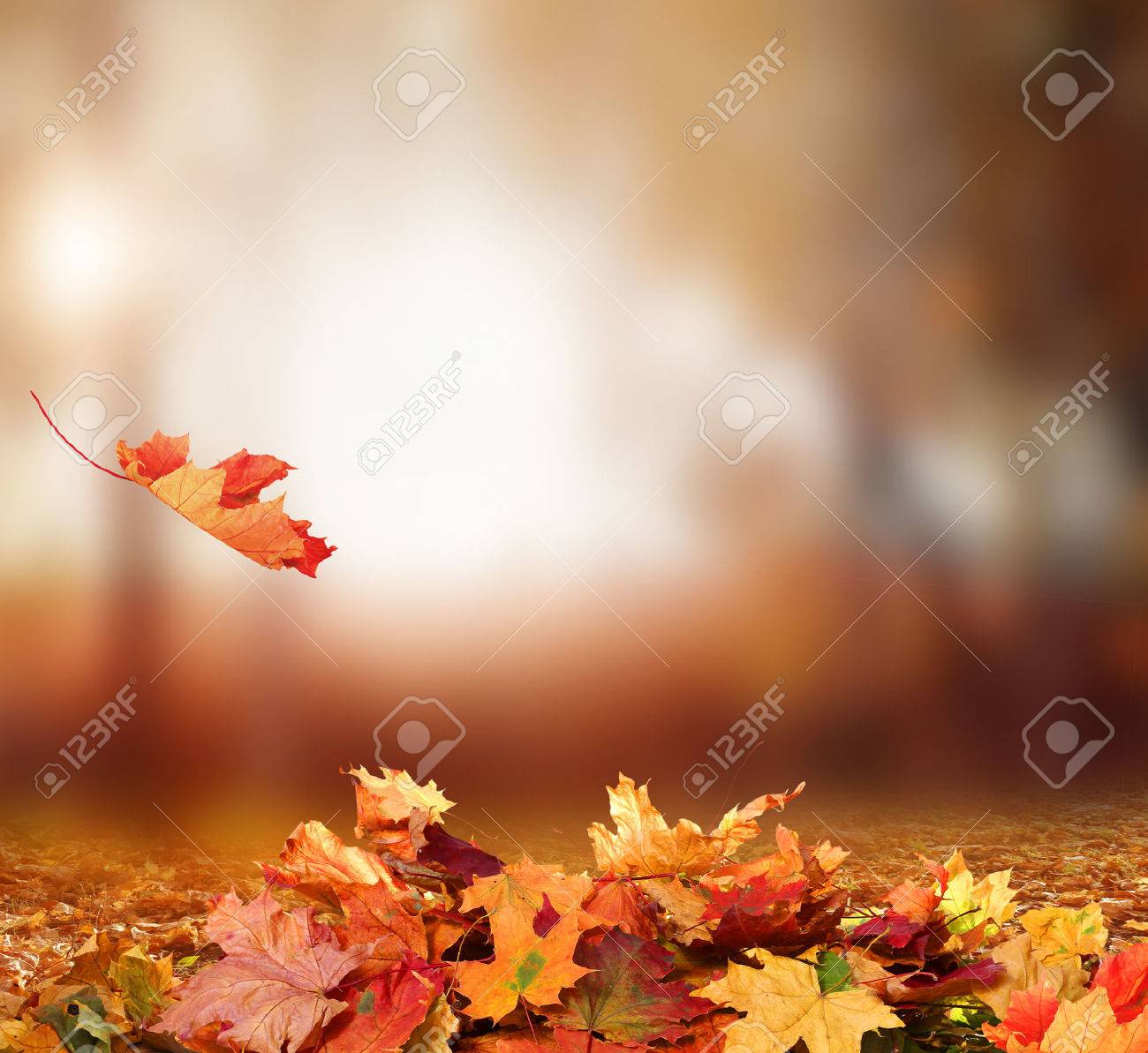 Detail Autumn Leaves Background Nomer 57