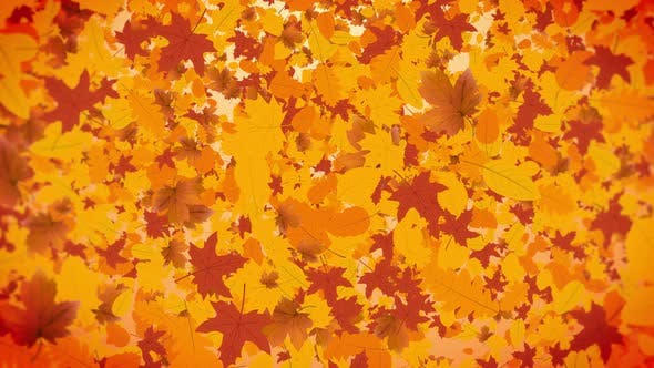 Detail Autumn Leaves Background Nomer 9