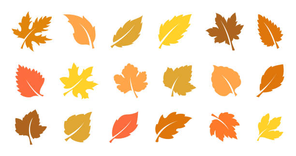 Detail Autumn Leaves Background Clipart Nomer 21