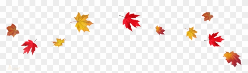 Detail Autumn Leaves Background Clipart Nomer 41