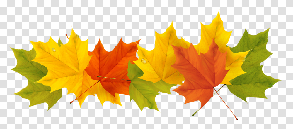 Detail Autumn Leaves Background Clipart Nomer 49