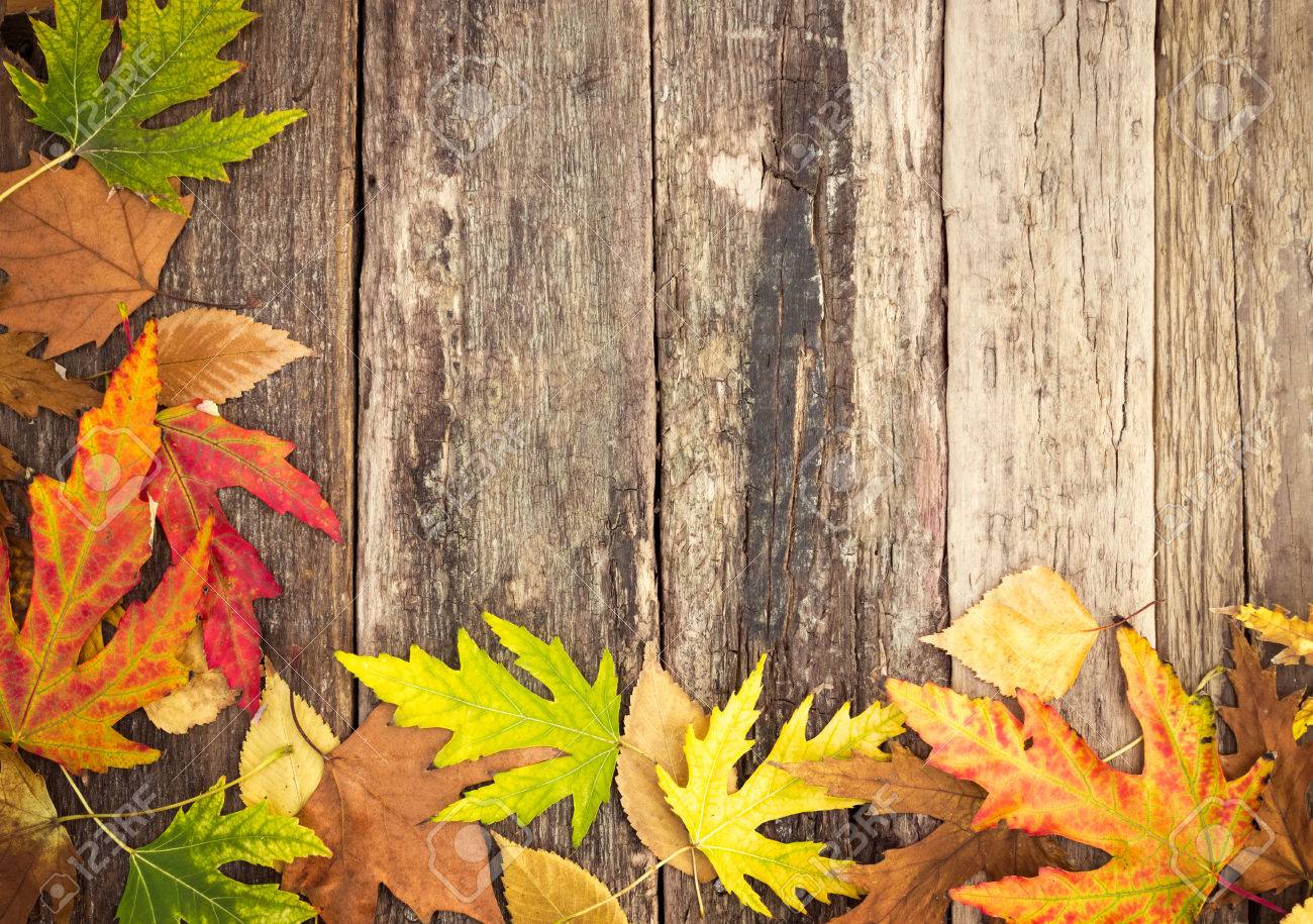 Detail Autumn Leaves Background Images Nomer 11