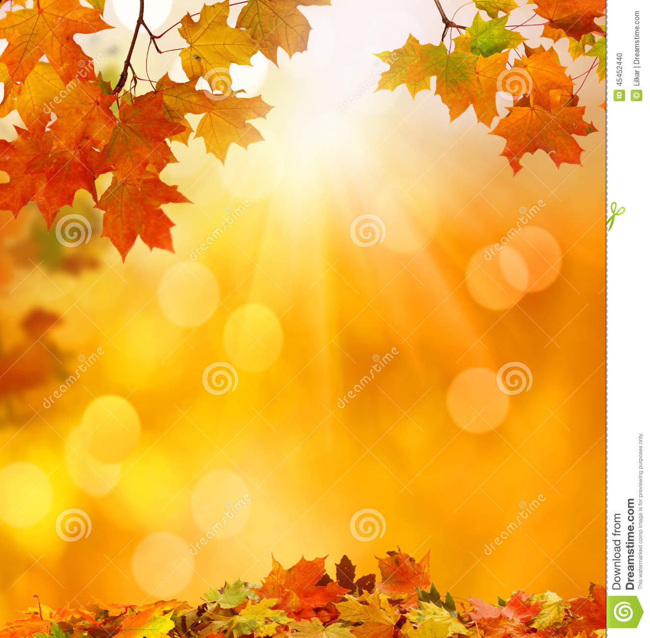 Detail Autumn Leaves Background Images Nomer 15