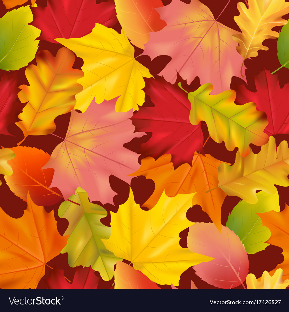 Detail Autumn Leaves Background Images Nomer 34