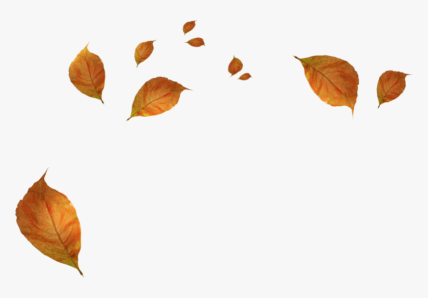 Detail Autumn Leaves Background Images Nomer 57