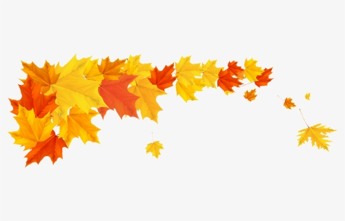 Detail Autumn Leaves Border Png Nomer 3