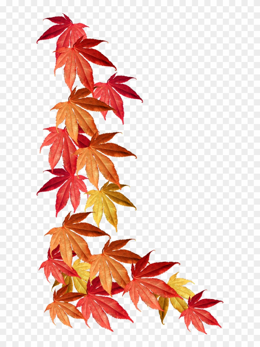 Detail Autumn Leaves Border Png Nomer 5