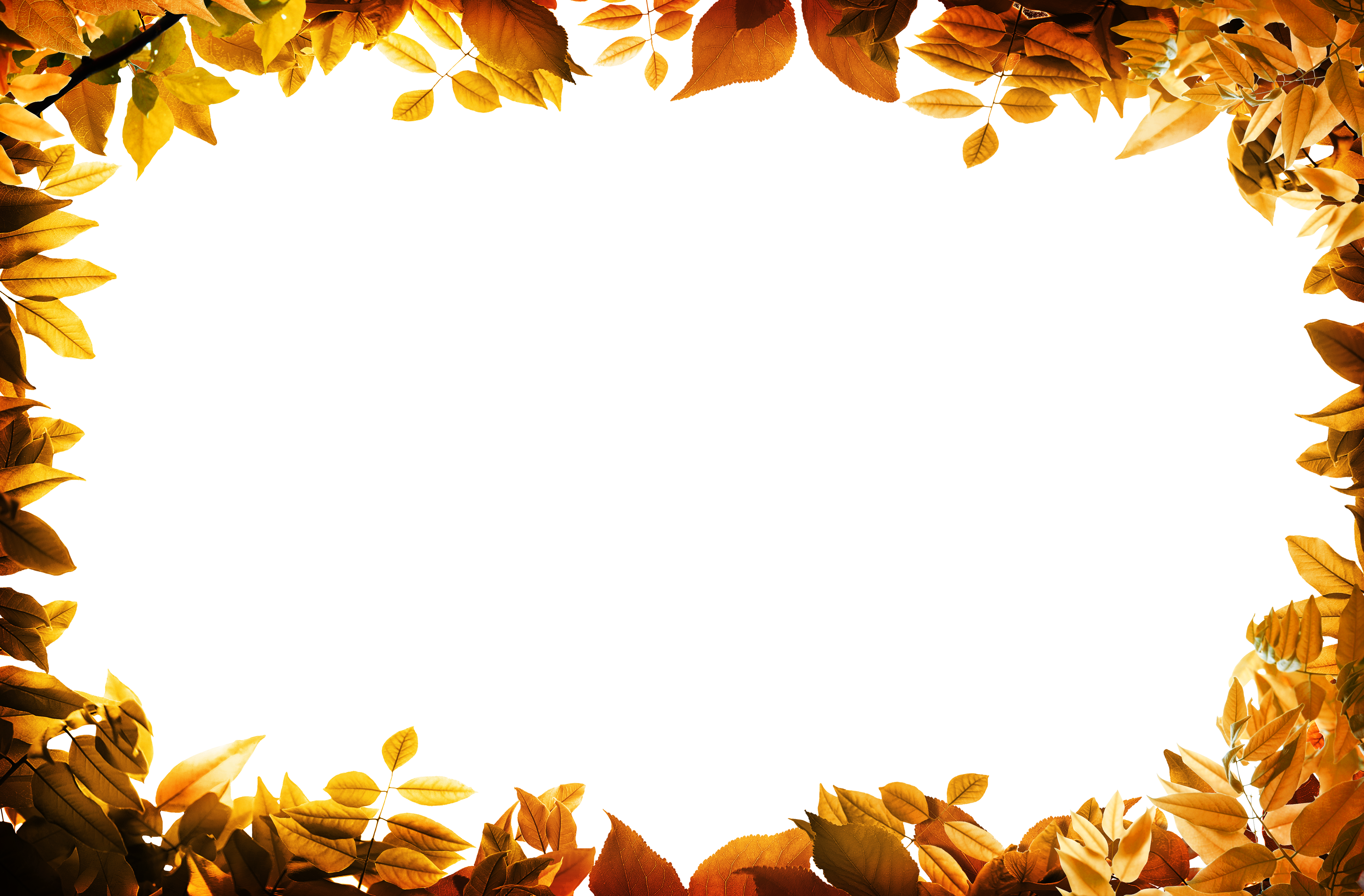 Download Autumn Leaves Border Png Nomer 56