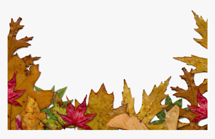 Detail Autumn Leaves Border Png Nomer 10