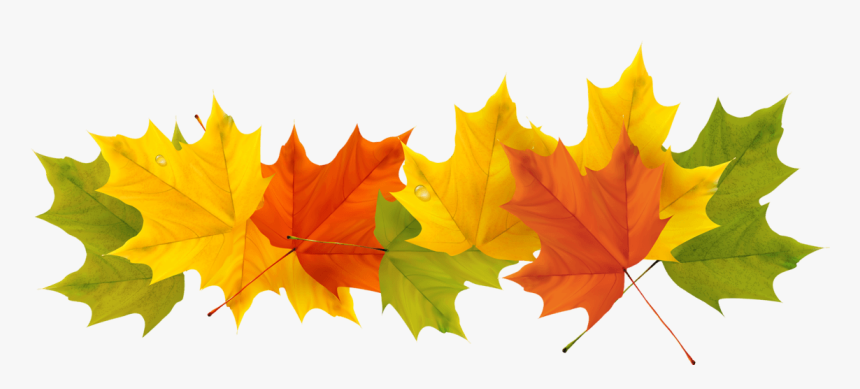 Detail Autumn Leaves Clip Art Png Nomer 13