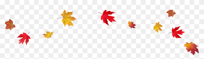 Detail Autumn Leaves Clip Art Png Nomer 30