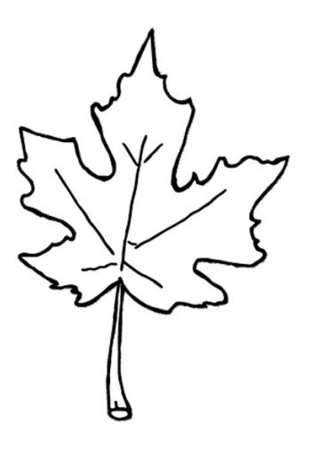 Detail Autumn Leaves Clipart Black And White Nomer 12