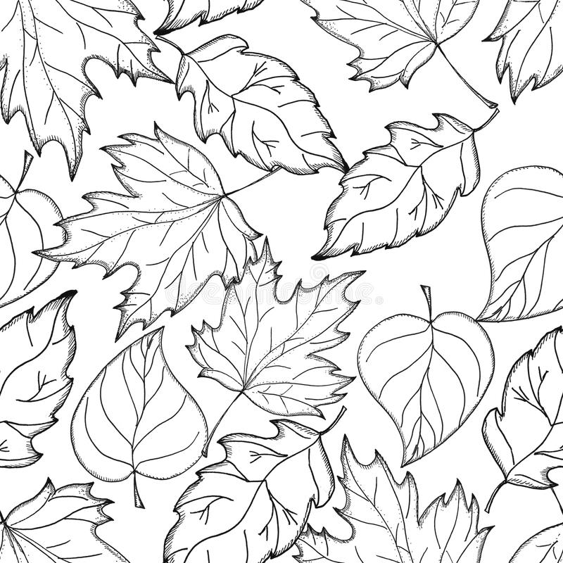 Detail Autumn Leaves Clipart Black And White Nomer 38