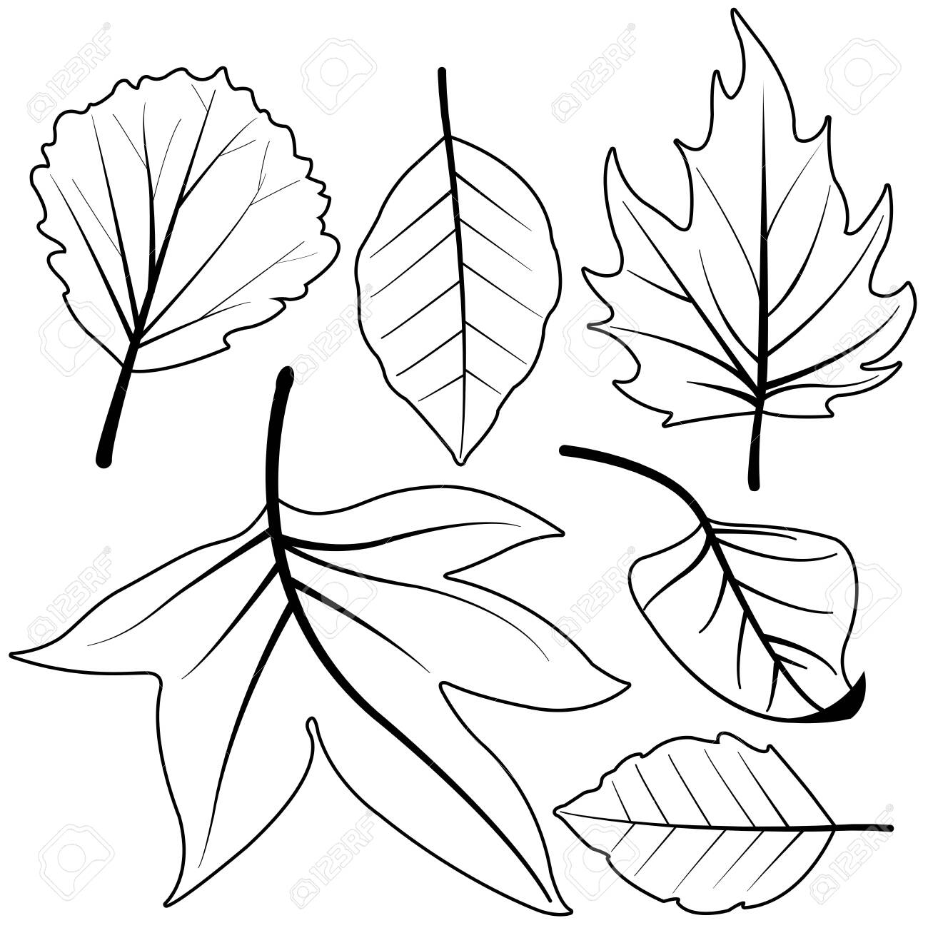 Detail Autumn Leaves Clipart Black And White Nomer 44