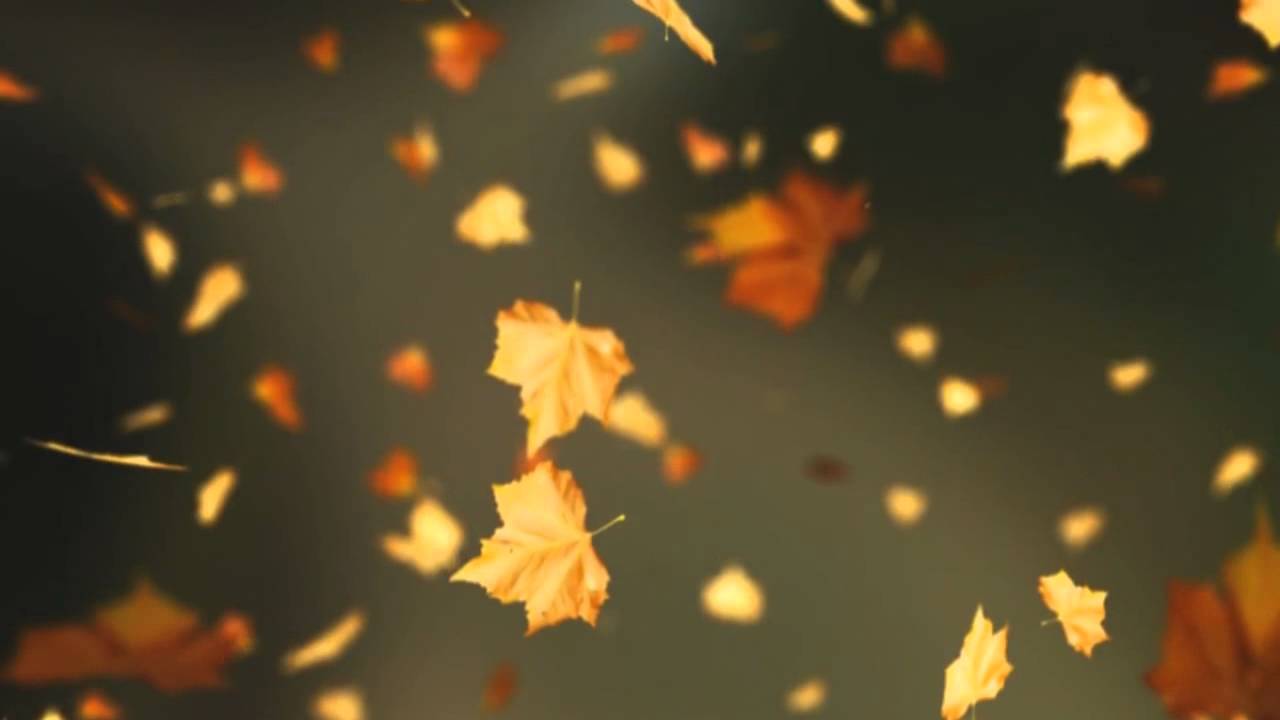 Download Autumn Leaves Falling Images Nomer 18