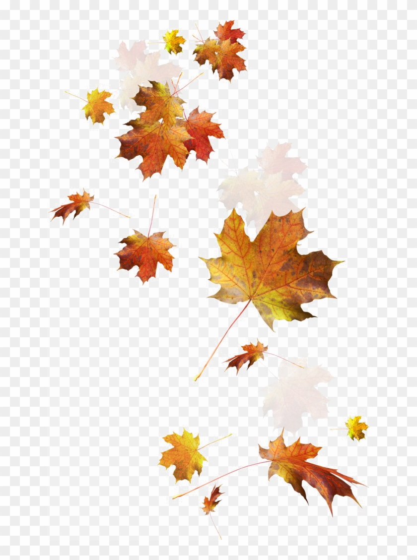 Detail Autumn Leaves Falling Images Nomer 47