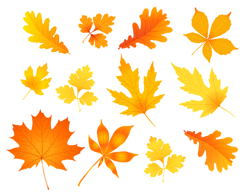 Detail Autumn Leaves Icon Nomer 19