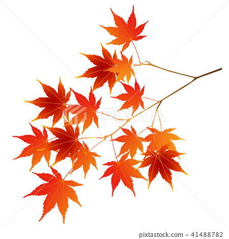 Detail Autumn Leaves Icon Nomer 35